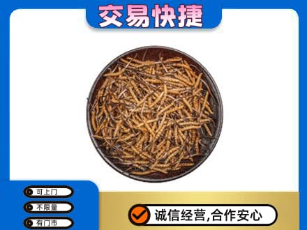 三明市建宁高价回收散虫草